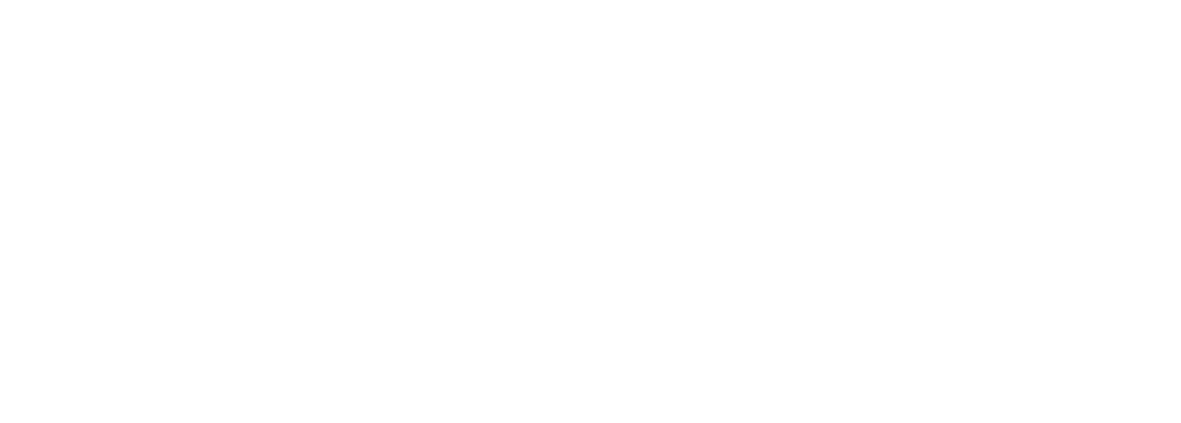 BariInject